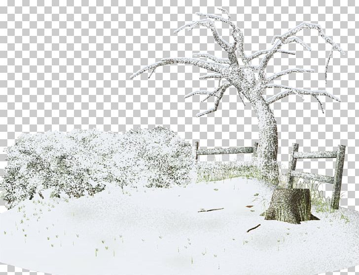 Photography Winter Snow PNG, Clipart, Albom, Black And White, Blog, Branch, Branches Free PNG Download