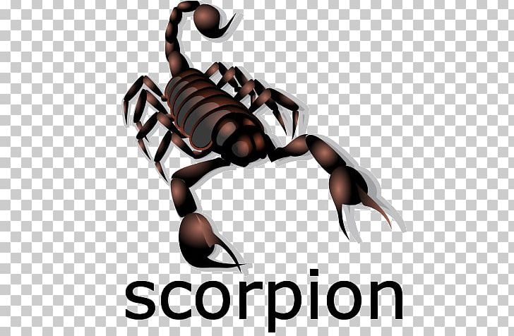 Scorpion Drawing Information PNG, Clipart,  Free PNG Download