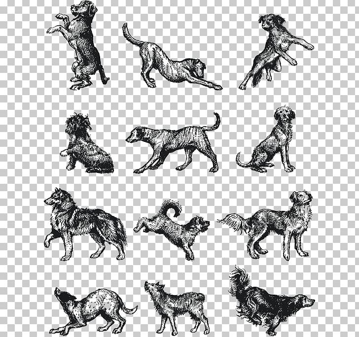 Dog Breed Cat Mammal Horse PNG, Clipart, Animal, Animal Figure, Animals, Art, Black And White Free PNG Download