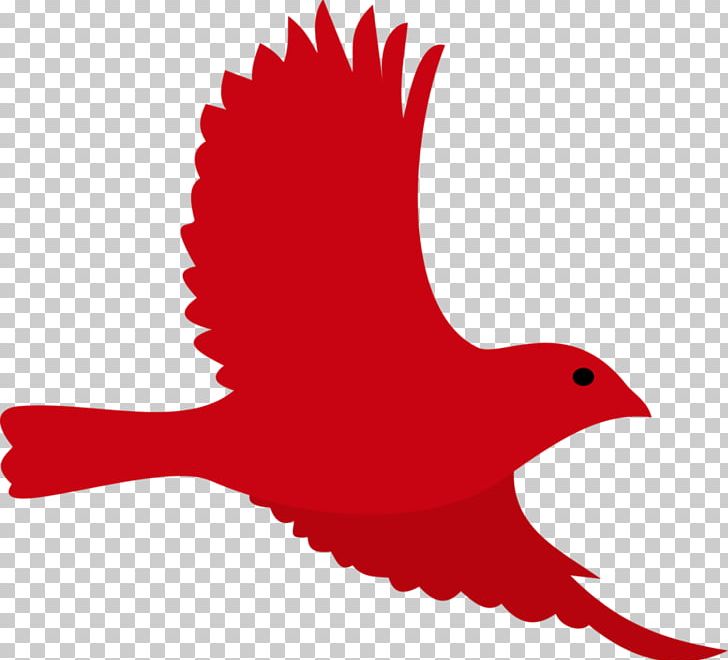 Bird Roblox Beak Owl Chicken PNG, Clipart, Animal, Animals, Beak, Bird, Chicken Free PNG Download