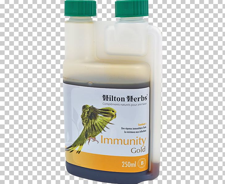 Bird Rock Dove Dietary Supplement Immunity Immune System PNG, Clipart, Animal, Animals, Bird, Dietary Supplement, Gastrointestinal Tract Free PNG Download