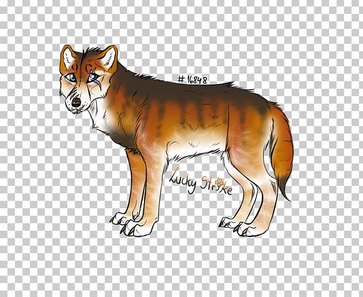 Dingo Red Fox Dhole Dog Red Wolf PNG, Clipart, Animals, Big Cat, Big Cats, Carnivoran, Cat Free PNG Download