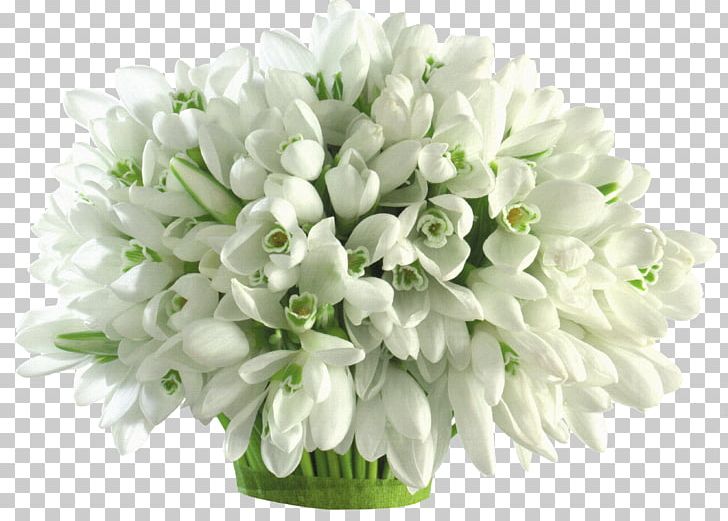 Flower Bouquet Snowdrop Petal PNG, Clipart, Background White, Black White, Bouquet, Color, Cut Flowers Free PNG Download