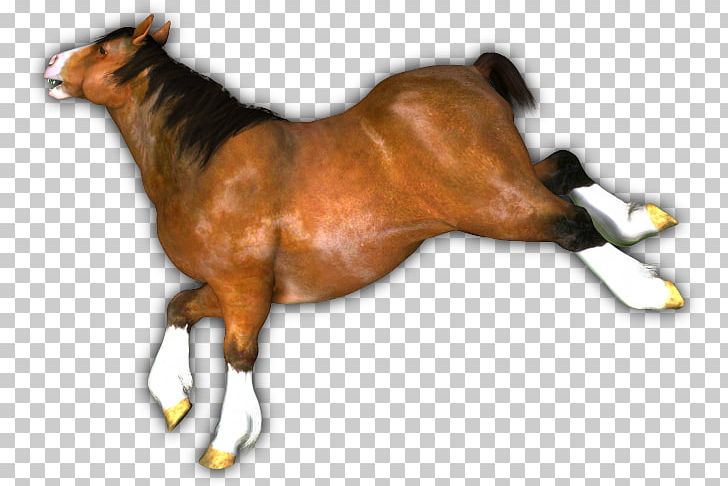 Mustang Foal Stallion Colt Halter PNG, Clipart, Cattle, Cattle Like Mammal, Colt, Colts Manufacturing Company, Draft Free PNG Download