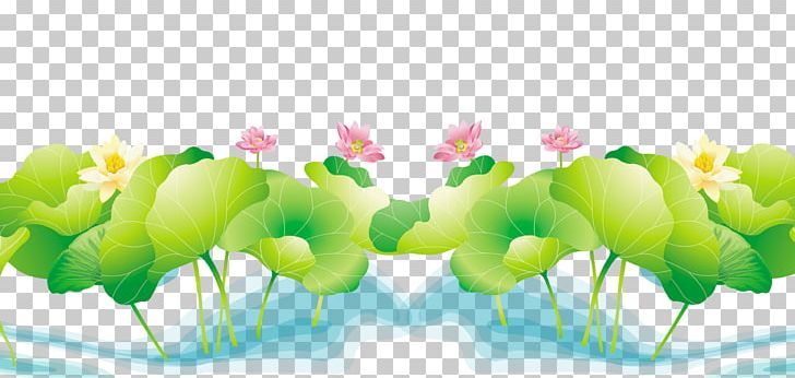 Nelumbo Nucifera PNG, Clipart, Computer Wallpaper, Creative, Creative Pond, Decorative, Decorative Material Free PNG Download