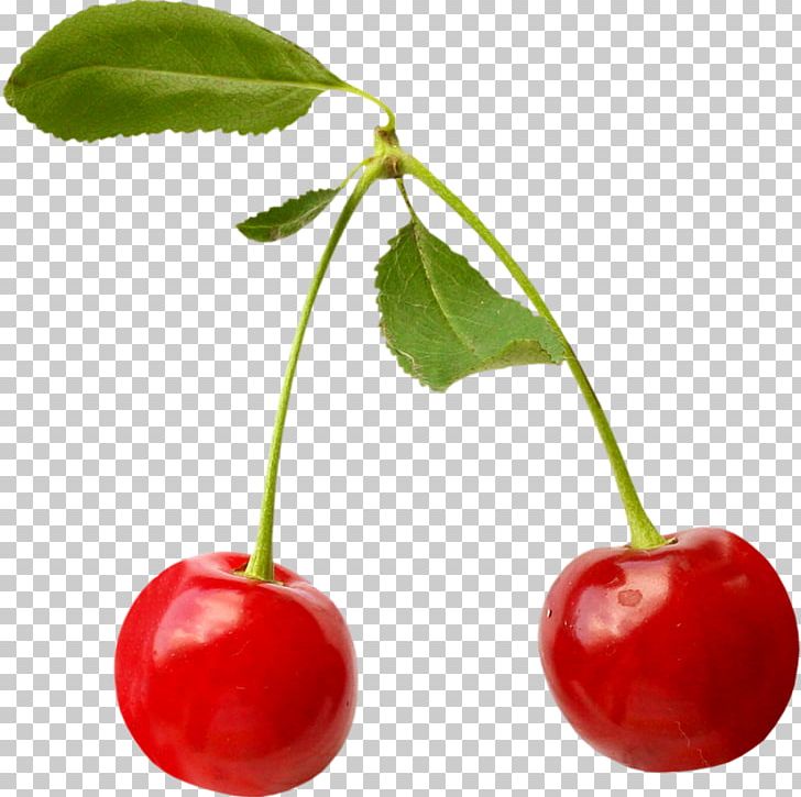 Barbados Cherry Food Fruit Berry PNG, Clipart, Acerola, Acerola Family, Amorodo, Auglis, Barbados Cherry Free PNG Download