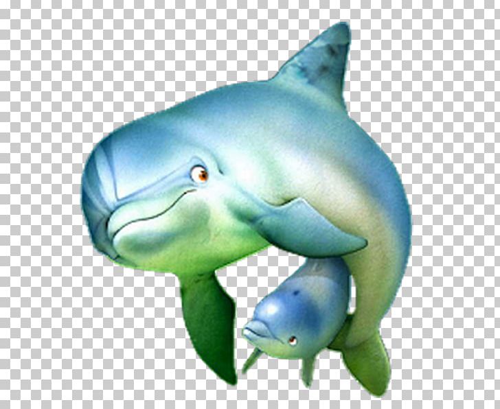 Blog PNG, Clipart, Blog, Common Bottlenose Dolphin, Computer Icons, Dolphin, Fauna Free PNG Download