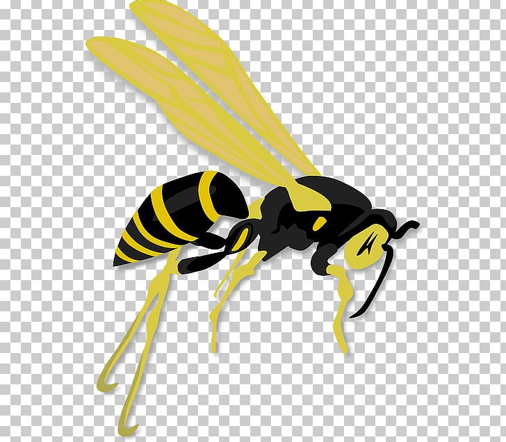 Hornet Western Honey Bee Wasp PNG, Clipart, Arthropod, Bee, Fly, Flying Cow, Honey Bee Free PNG Download