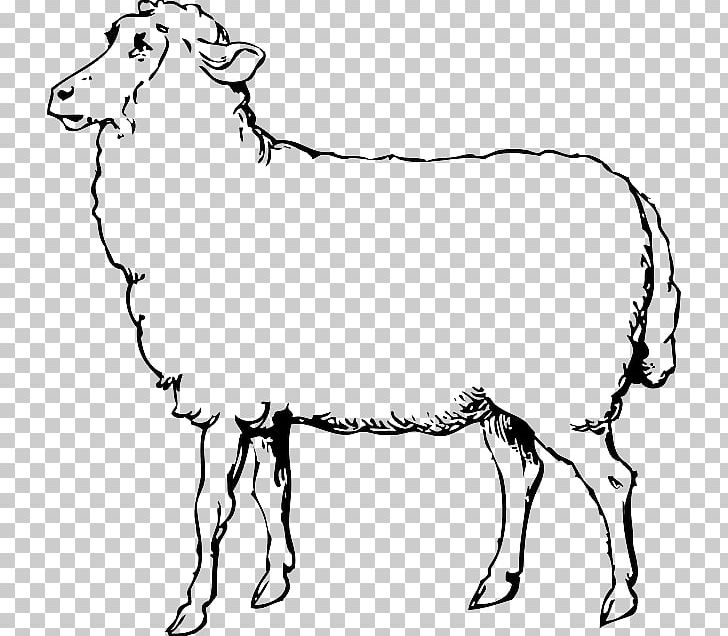Sheep Goat PNG, Clipart, Animal Figure, Animals Outline Drawing, Area, Art, Black And White Free PNG Download