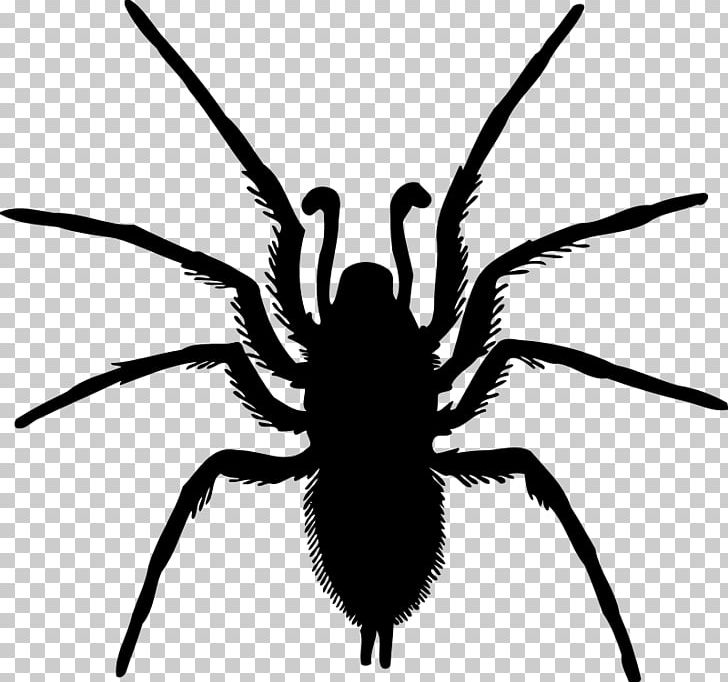 Spider Silhouette Drawing PNG, Clipart, Arachnid, Art, Arthropod, Black And White, Drawing Free PNG Download