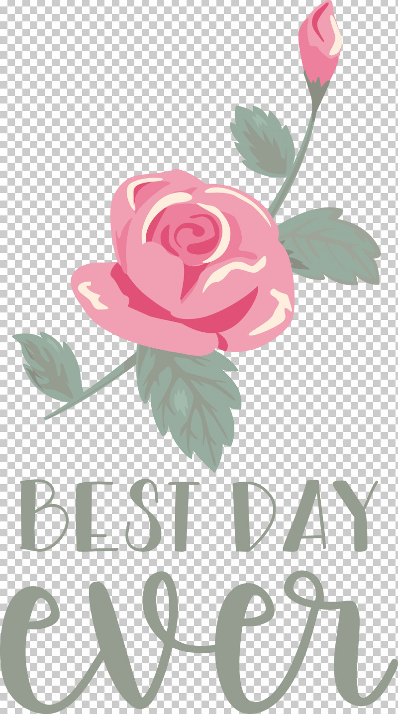 Best Day Ever Wedding PNG, Clipart, Best Day Ever, Cut Flowers, Floral Design, Flower, Garden Roses Free PNG Download