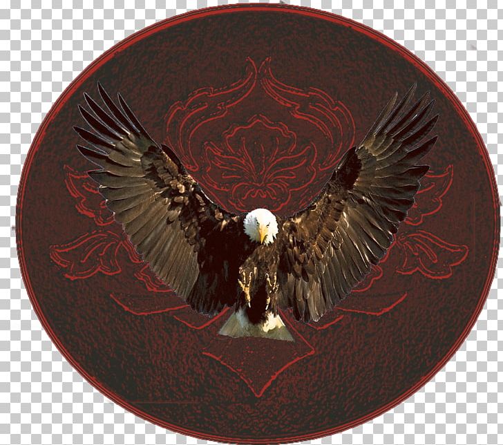 Copyright Product All Rights Reserved Price Maroon PNG, Clipart, All Rights Reserved, Bird Of Prey, Blackbird, Copyright, Eagle Free PNG Download