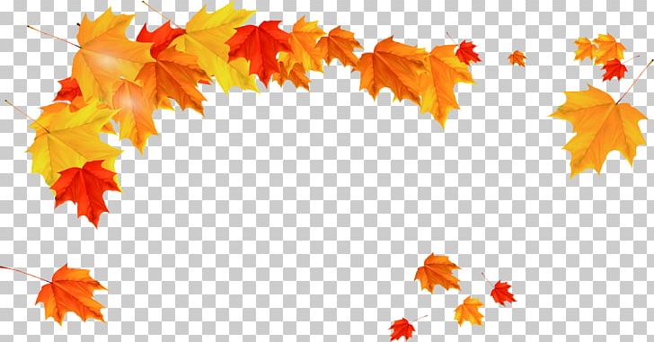 Maple Leaf Autumn PNG, Clipart, Autumn Leaves, Beauty Salon, Computer Wallpaper, Coreldraw, Download Free PNG Download