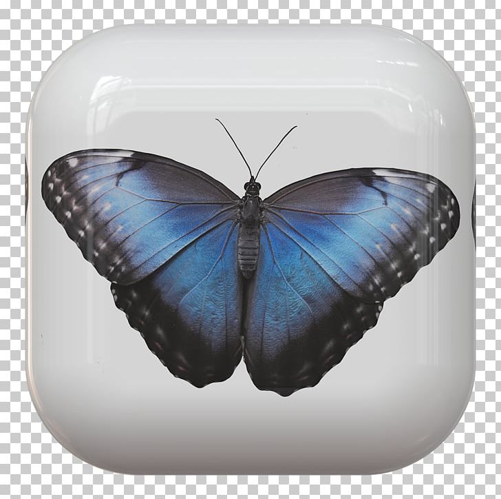 Nymphalidae Monarch Butterfly Insect Papillon Dog PNG, Clipart, Arthropod, Brush Footed Butterfly, Butterfly, Button, Drawing Free PNG Download