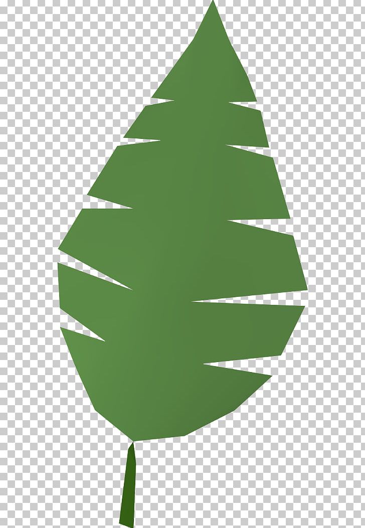 Arecaceae Palm Branch Leaf PNG, Clipart, Angle, Arecaceae, Christmas Decoration, Christmas Ornament, Christmas Tree Free PNG Download