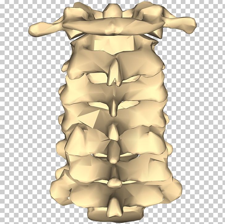 Cervical Vertebrae Vertebral Column Joint Lumbar Vertebrae Anatomy PNG, Clipart, Anatomy, Axial Skeleton, Bone, Cervical Vertebrae, Facet Joint Free PNG Download