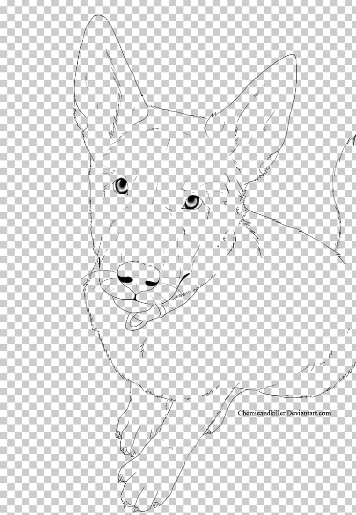 Dog Red Fox Snout Whiskers Drawing PNG, Clipart, Animal, Animals, Artwork, Black And White, Canidae Free PNG Download