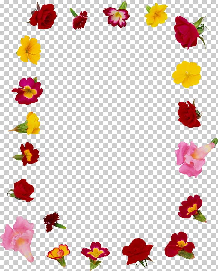 Edible Flower Frames Garden Roses PNG, Clipart, Border Frames, Cut Flowers, Edible Flower, Flora, Floral Design Free PNG Download