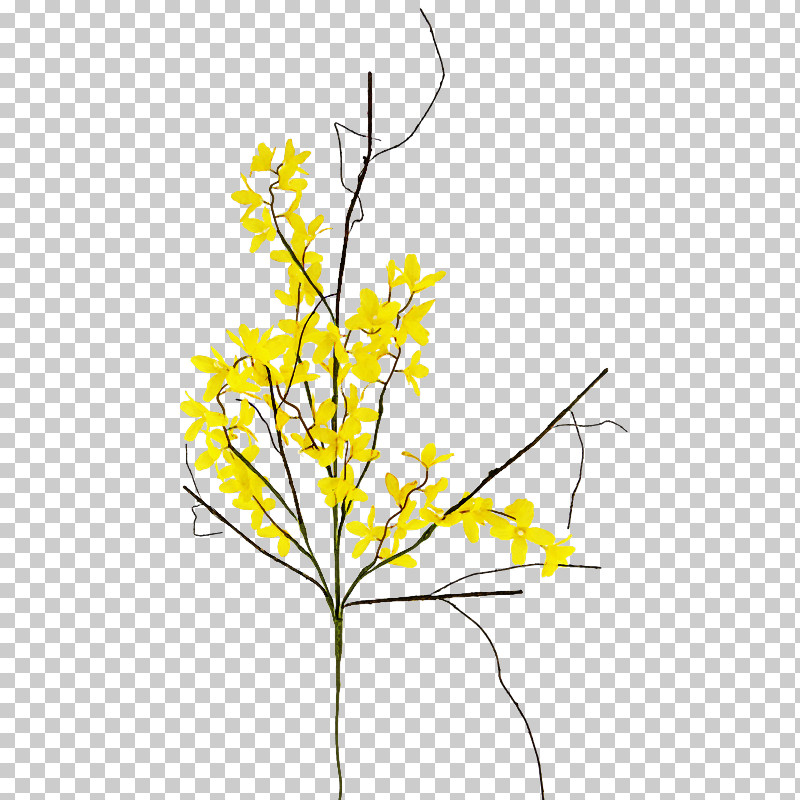 Yellow Plant Flower Branch Twig PNG, Clipart, Branch, Cut Flowers, Flower, Goldenrod, Leaf Free PNG Download