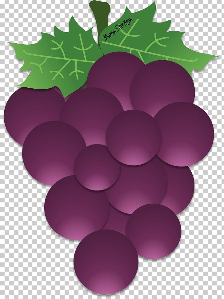 Common Grape Vine Zante Currant Wine Grape Leaves PNG, Clipart, Blackcurrant, Circle, Common Grape Vine, Flowering Plant, Food Free PNG Download