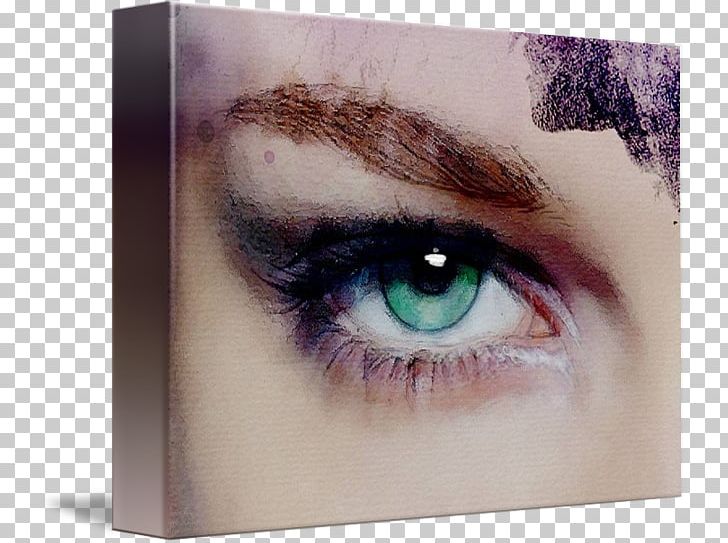 Eyelash Extensions Eye Liner Eye Shadow Lip Liner PNG, Clipart, Artificial Hair Integrations, Closeup, Closeup, Cosmetics, Eye Free PNG Download