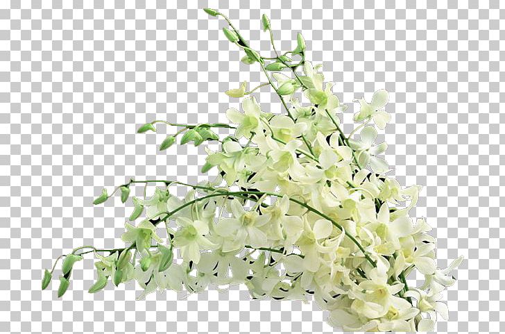 Floral Design Flower Bouquet LiveInternet Cut Flowers PNG, Clipart, 7 F, 2016, Artificial Flower, Author, Blossom Free PNG Download