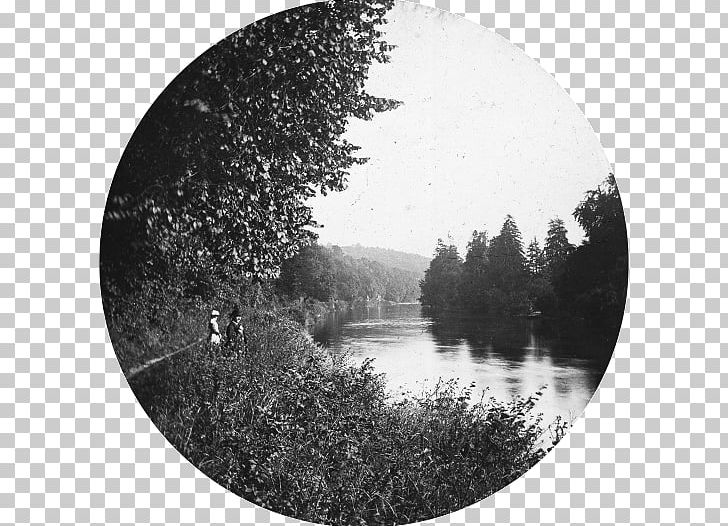 River Thames Windsor Cliveden Tree Smooth Waters Wildlife Park PNG, Clipart, Black And White, Cliveden, England, Google Slides, Magic Lantern Free PNG Download