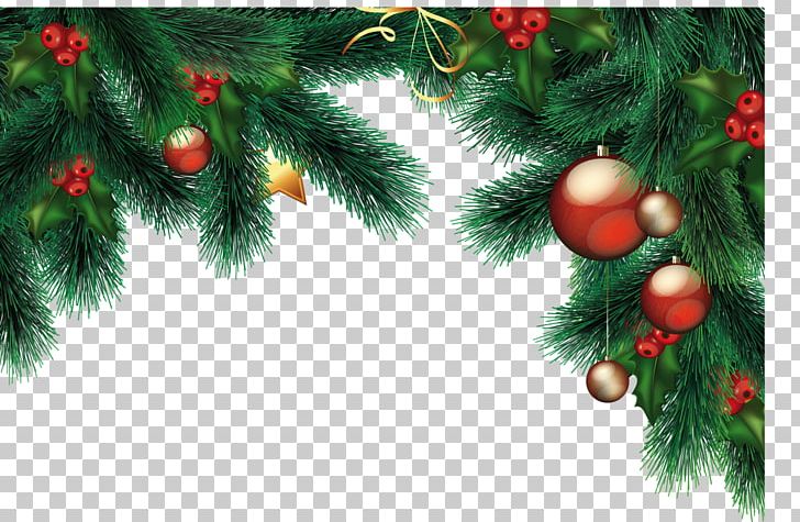 Santa Claus Christmas Day Portable Network Graphics Christmas Tree PNG, Clipart, Branch, Christmas, Christmas Day, Christmas Decoration, Christmas Ornament Free PNG Download