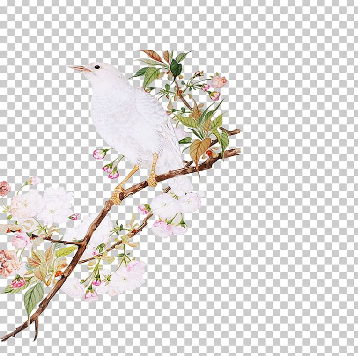 Bird-and-flower Painting PNG, Clipart, Bird, Branch, Cartoon, Cherry, Chinese Painting Free PNG Download