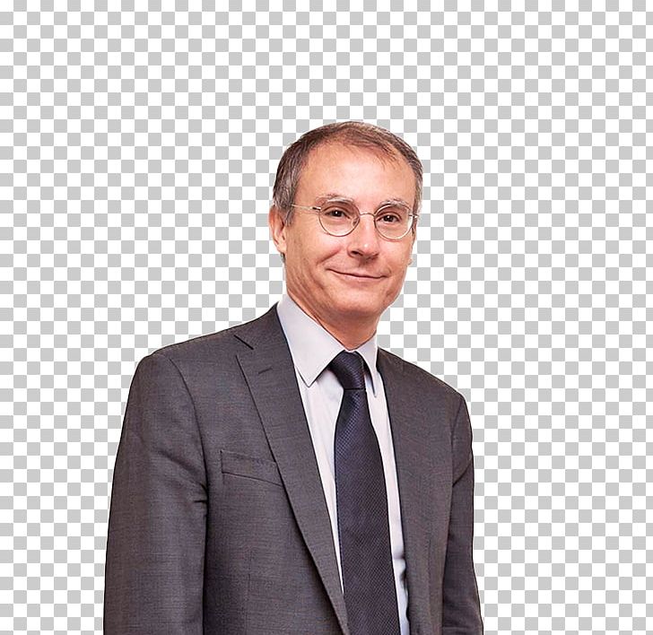 Miquel Roca Management Business Government Of India Finance PNG, Clipart, Business, Business Executive, Businessperson, Chin, Corporation Free PNG Download