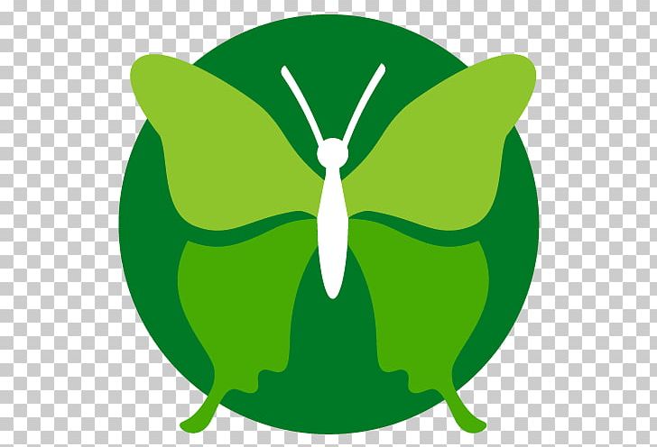 Butterfly Dating Coach Coaching Life Coach PNG, Clipart, Butterflies And Moths, Coaching, Dating, Dating Coach, Divorce Free PNG Download