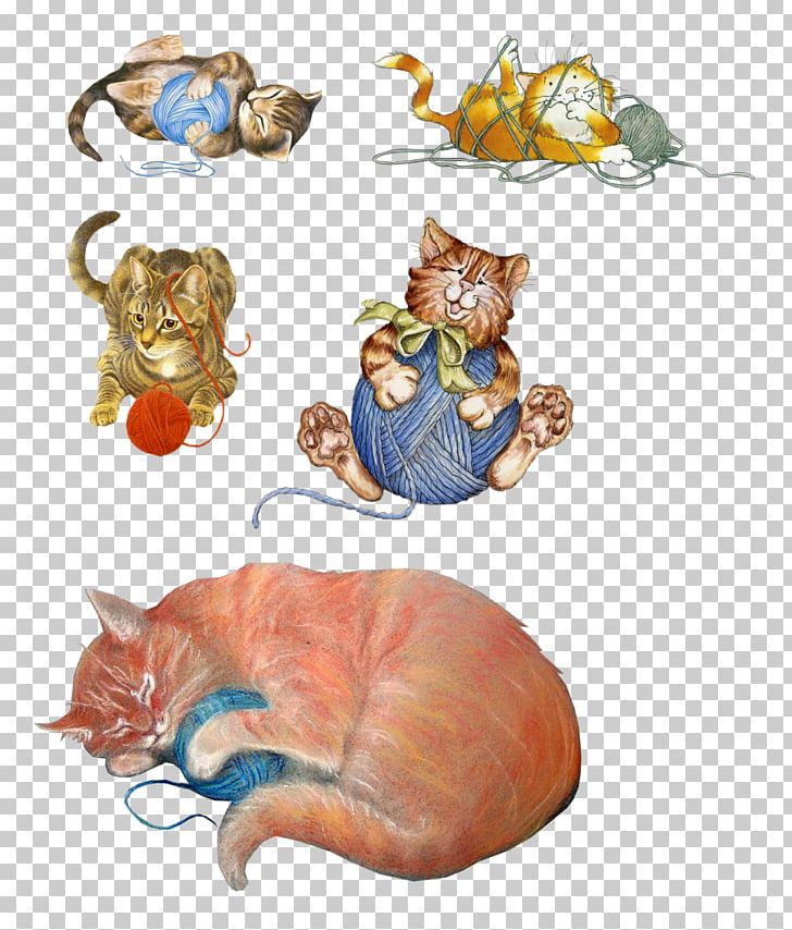 Cat PNG, Clipart, Animals, Carnivoran, Cat, Cat Like Mammal, Organism Free PNG Download