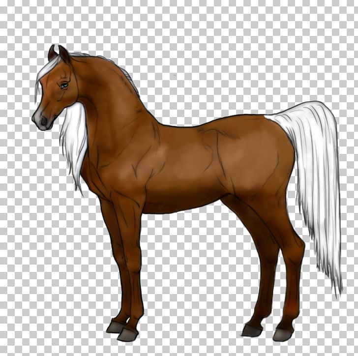 Mustang Mane Friesian Horse Arabian Horse Stallion PNG, Clipart, Animal Figure, Bridle, Colt, Foal, Halter Free PNG Download