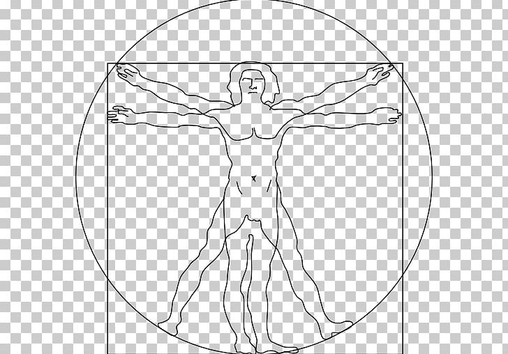 Vitruvian Man De Architectura Homo Sapiens Line Art Drawing PNG, Clipart, Abdomen, Angle, Arm, Art, Artwork Free PNG Download