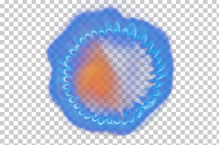 Circle Close-up Organism PNG, Clipart, Blue, Blue Flame, Circle, Close Up, Closeup Free PNG Download