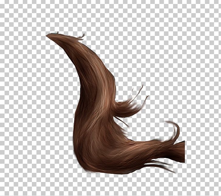 Horse Grooming Tail Mane Drawing PNG, Clipart, Animals, Brown, Brown Hair, Drawing, Equestrian Free PNG Download