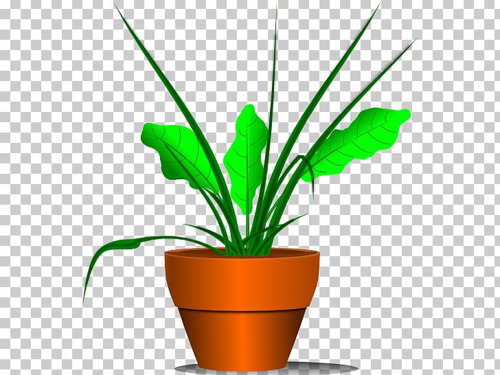 Houseplant PNG, Clipart, Flower, Flowerpot, Garden, Grass, Grass Family Free PNG Download