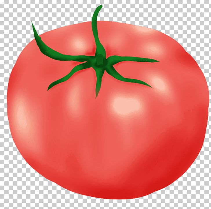 Plum Tomato Bush Tomato Budi Daya PNG, Clipart, Apple, Book Illustration, Budi, Budi Daya, Bush Tomato Free PNG Download