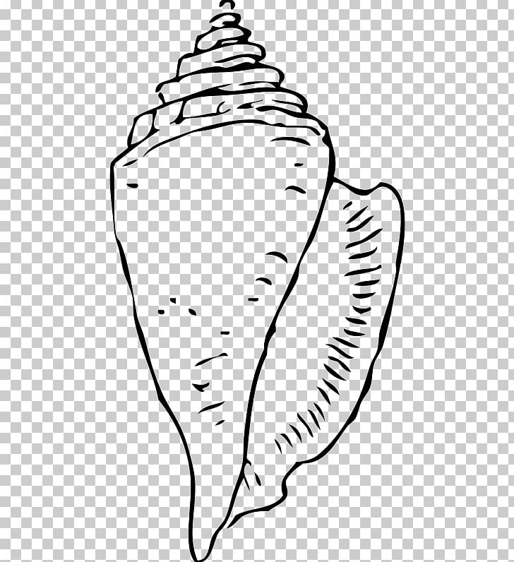 Seashell Conch Gastropod Shell PNG, Clipart, Animals, Art, Artwork, Black, Black And White Free PNG Download