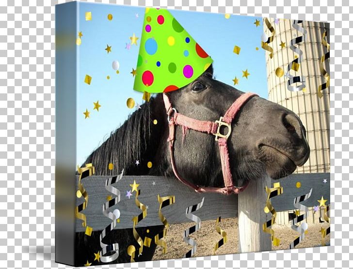Horse Birthday Party Convite Snout PNG, Clipart, Animals, Birthday, Convite, Horse, Horse Like Mammal Free PNG Download