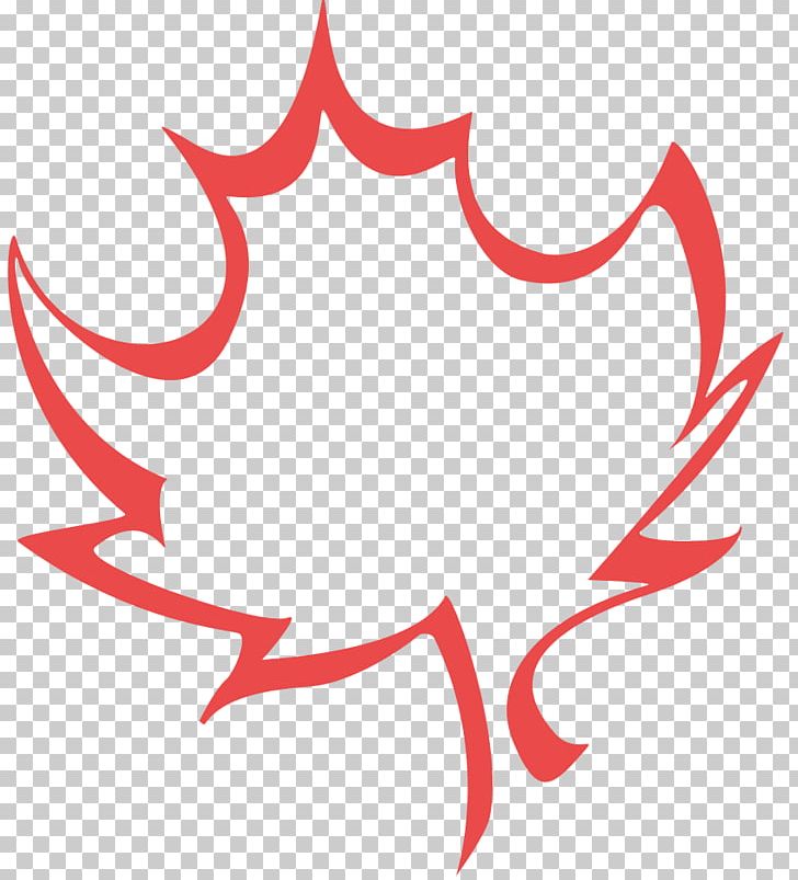 Maple Leaf Illustration Drawing PNG, Clipart, Artwork, Autumn Leaf Color, Canadian Gold Maple Leaf, Canadian Silver Maple Leaf, Circle Free PNG Download