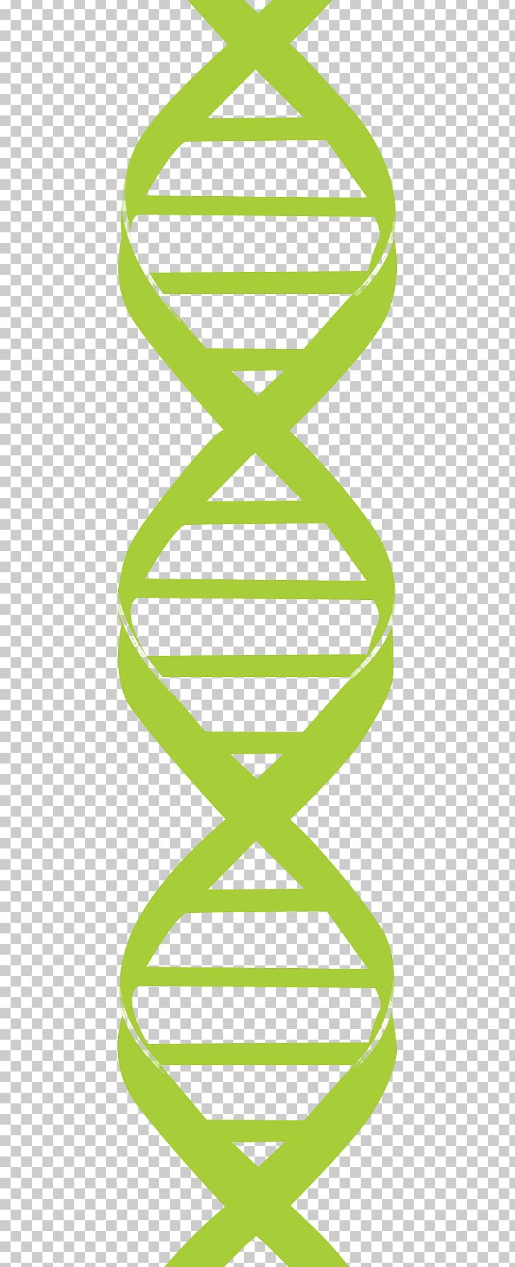 Nucleic Acid Double Helix DNA Genetics PNG, Clipart, Angle, Area, Cell, Chromosome, Circle Free PNG Download