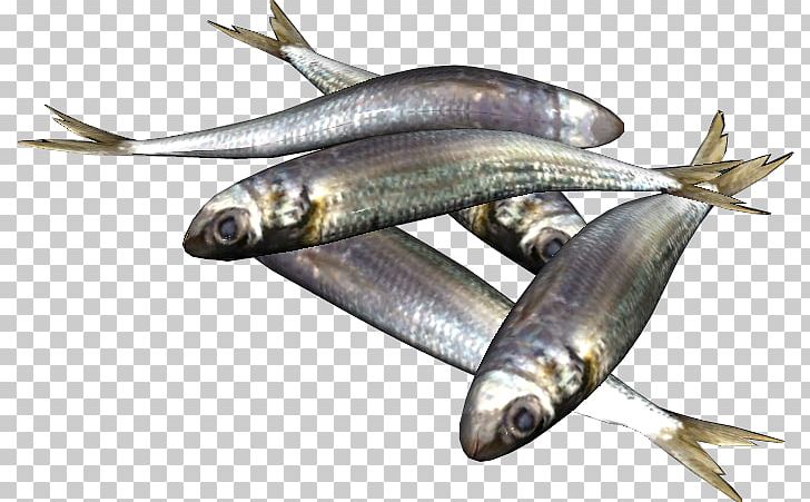 Sardine Fish Products European Pilchard Food Barbecue PNG, Clipart, Anchovy, Animal Source Foods, Barbecue, Be Prepared, Capelin Free PNG Download