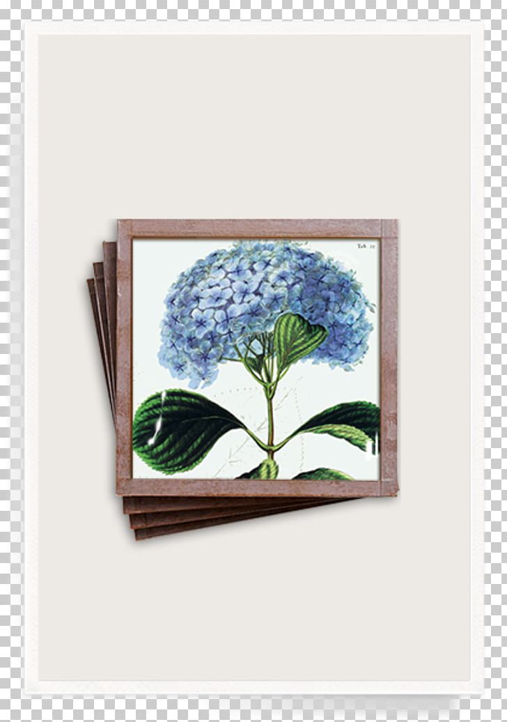 Ben's Garden 'Blue Hydrangea' Trinket Tray PNG, Clipart,  Free PNG Download