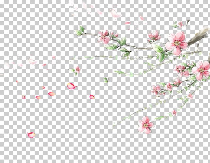 Flower Cherry Blossom PNG, Clipart, Apple, Blossom, Branch, Color, Corner Border Free PNG Download