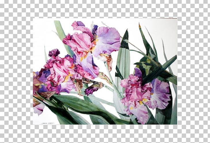 Graphic Arts Watercolor Painting Canvas Print PNG, Clipart, Art, Canvas, Canvas Print, Cattleya, Contemporary Art Free PNG Download