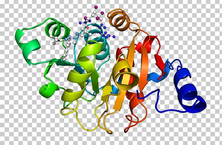 Protein Gene Expression Ketol-acid Reductoisomerase PNG, Clipart, Area, Art, Artwork, Biochemistry, Cell Free PNG Download