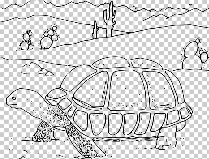 Turtle Drawing Desert Tortoise PNG, Clipart, Animals, Area, Art, Black And White, Carnivoran Free PNG Download