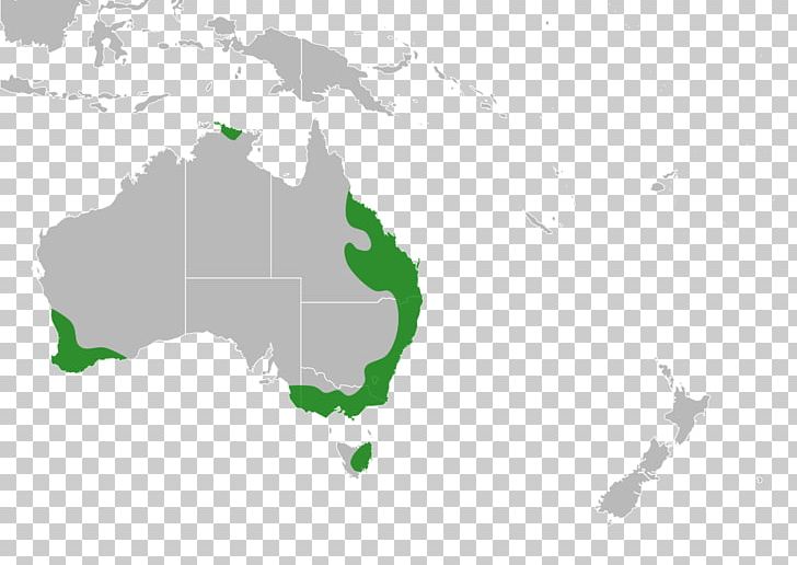 Australia Indonesia Globe World Map PNG, Clipart, Australia, Distribution, File, Globe, Green Free PNG Download