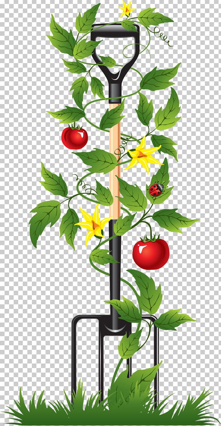 Drip Irrigation Controller Irrigation Sprinkler Water Timer PNG, Clipart, Branch, Cherry, Controller, Drip Irrigation, Flora Free PNG Download